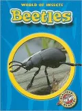 Beetles