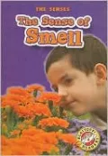 The Sense of Smell