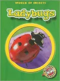 Ladybugs