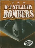 B-2 Stealth Bombers