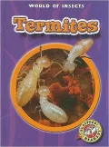 Termites
