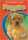 Puppies