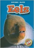 Eels