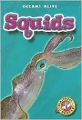 Squids