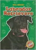 Labrador Retrievers
