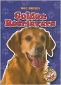 Golden Retrievers