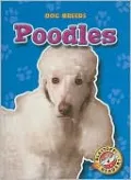 Poodles