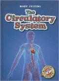 The Circulatory System