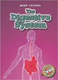 The Digestive System