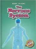 The Nervous System