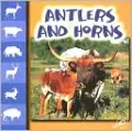 Antlers and Horns