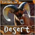 Living in a Desert