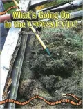 What's Going on in the Compost Pile: A Book about Systems