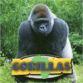 Gorillas