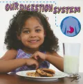 Our Digestion System