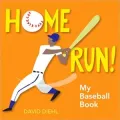 Home Run!: My Baseball Book