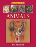 Drawing in Color - Animals