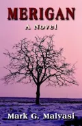 Merigan: A Novel