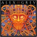 2011 Alex Grey Mini Calendar