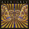 2011 Alex Grey Wall Calendar