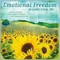 2011 Emotional Freedom Wall Calendar
