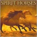 2011 Spirit Horses Wall Calendar