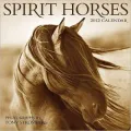 2012 Spirit Horses Wall Calendar