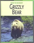 Grizzly Bear