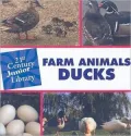 Farm Animals: Ducks