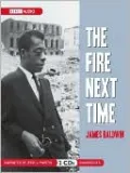 Book cover of The Fire Next Time