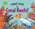 What Lives in Coral Reefs?
