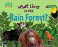 What Lives in the Rain Forest?