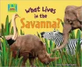 What Lives in the Savanna?