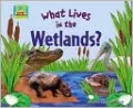 What Lives in the Wetlands?