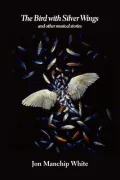The Bird with Silver Wings