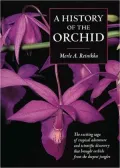A History Of The Orchid