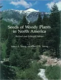 Seeds Of Woody Plants In North America