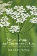 Parsleys, Fennels, And Queen Anne's Lace