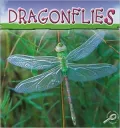 Dragonflies