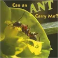 Can an Ant Carry Me?