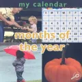 My Calendar: Months of the Year