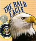 The Bald Eagle