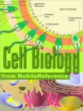 Cell Biology Study Guide: Prokaryotes, Archaea, Eukaryotes, Viruses, Cell Components, Respiration, Protein Biosynthesis, Cell division, Cell Signaling & more.
