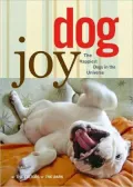 DogJoy: Happiest Dogs in the Universe