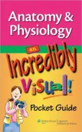 Anatomy & Physiology: An Incredibly Visual! Pocket Guide