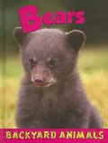Bears