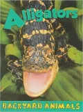 Alligators