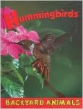Hummingbirds
