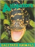 Alligators