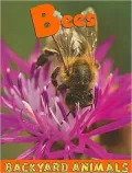 Bees